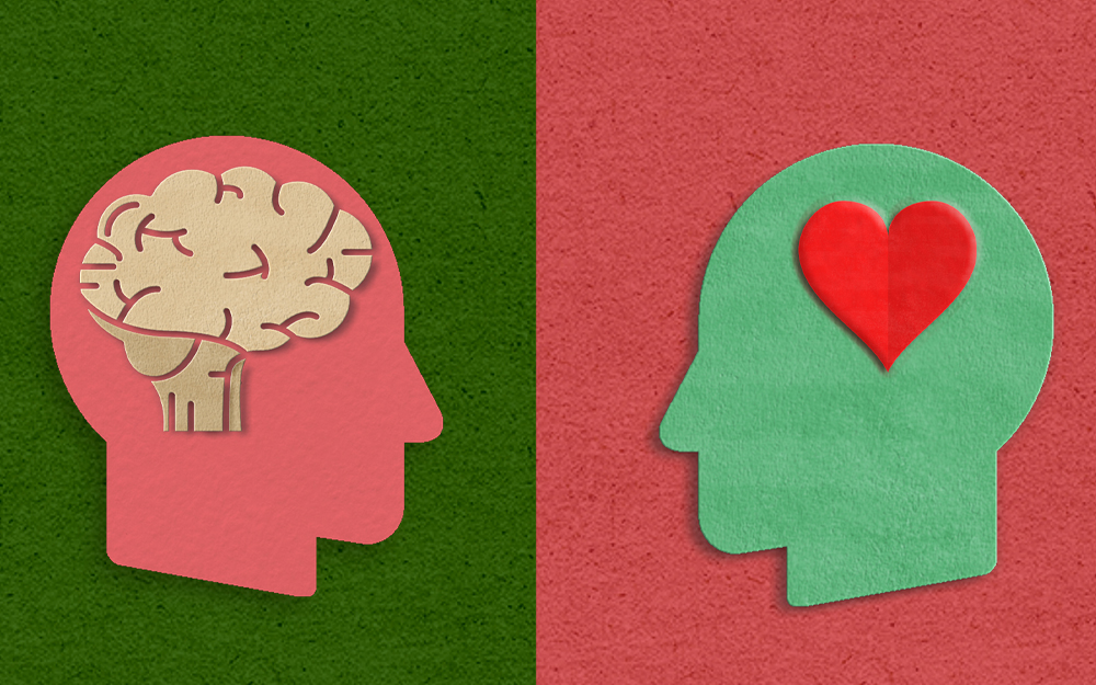 New Insights May Yield Improvements in Heart and Brain Health teaser image